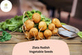 Zlata Radish Seeds – Heirloom Raphanus sativus, Golden-Yellow Roots, Crisp Edible Radish for Salad & Pickling, 500+ Non-GMO Seeds