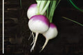 Turnip Seeds 1g Purple Top White Globe Heirloom Brassica rapa var. rapa Edible Roots & Greens