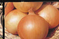 Texas Grano 502 Onion Seeds - Sweet Yellow Heirloom Variety - Allium cepa - Large Golden Bulbs for Cooking & Salads