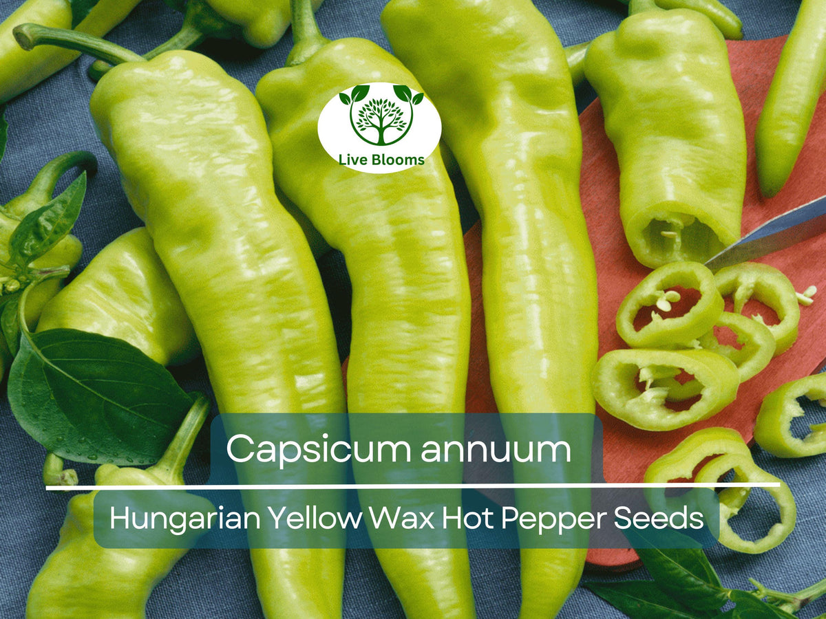 Hungarian Yellow Wax Hot Pepper Seeds – Capsicum annuum, Heirloom, Spicy, for Gardening & Cooking