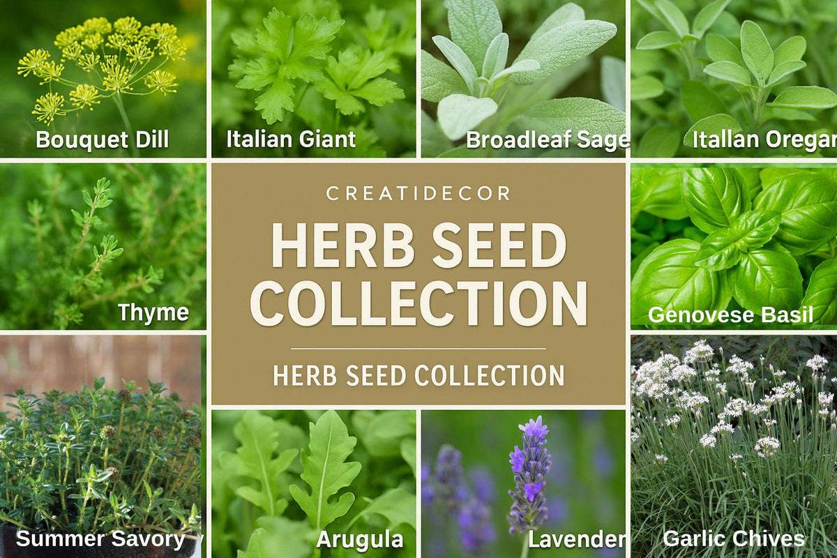 Herb Seed Set of 12 – Basil, Dill, Parsley, Lavender, Oregano, Cilantro & More – Culinary & Garden Herbs for Kitchen & Outdoor Planting