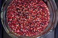 Heirloom Bloody Butcher Corn Seeds – Red Dent Zea mays for Meal, Flour, Roasting & Decoration, Historic American Variety