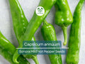 Sonora Mild Hot Pepper Seeds 250mg, Capsicum annuum, Heirloom, Mild Heat, Gardening & Cooking