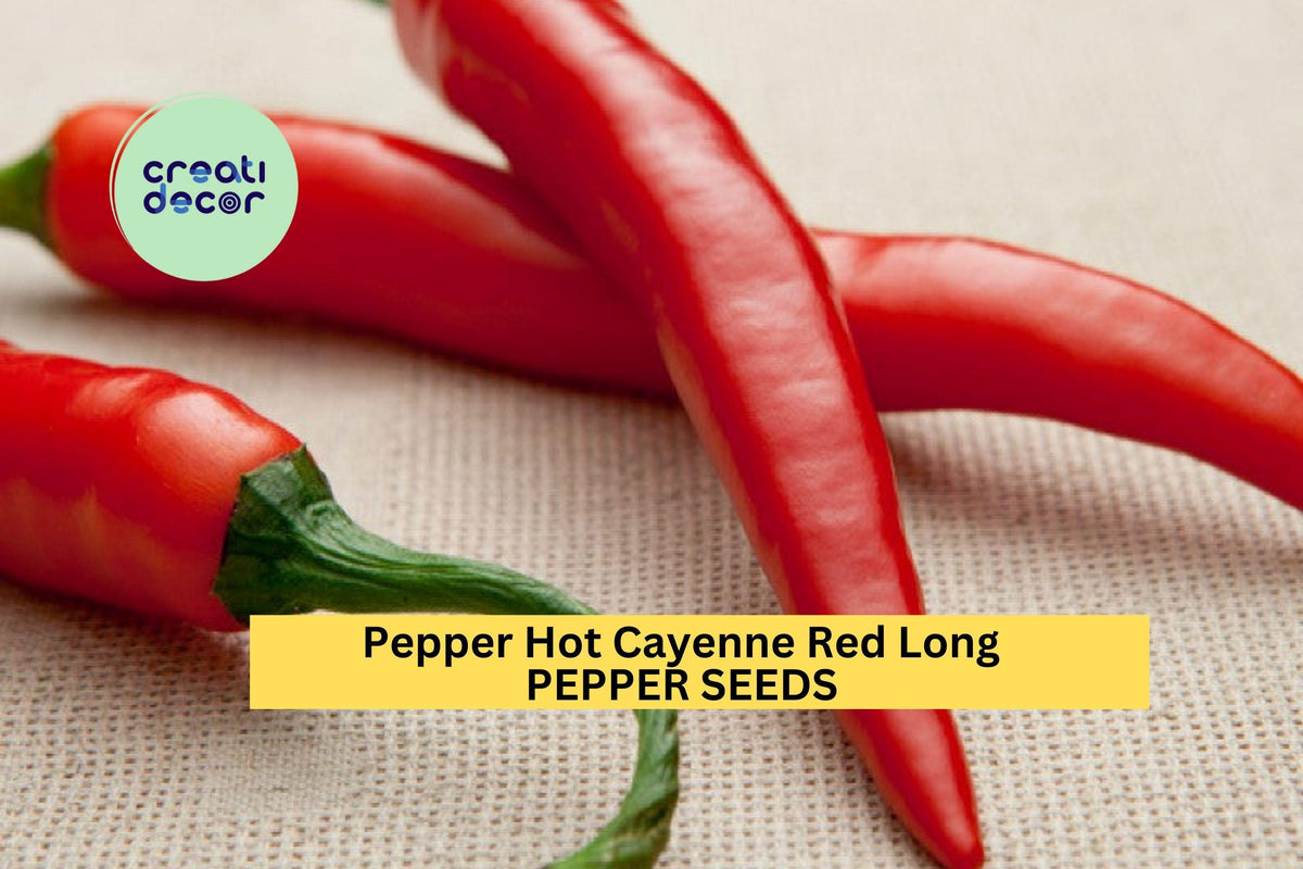 Cayenne Red Long Hot Pepper Seeds 3 Pack – Heirloom Chili Capsicum annuum for Drying & Spicing
