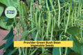 Provider Bush Bean Seeds – 3 Pack, Green Pods, Heirloom, Phaseolus vulgaris, Compact Bush, Early Maturing, Garden, Container
