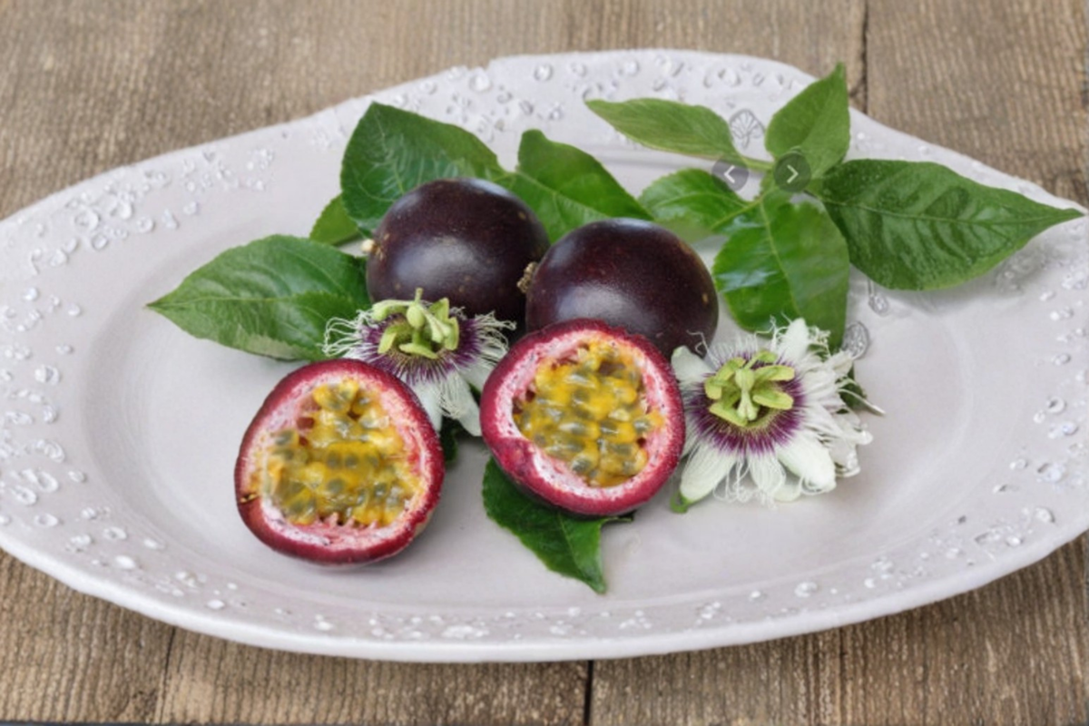 Dwarf Passionfruit Seeds – Passiflora edulis – Tropical Climbing Vine for Indoor & Outdoor Garden Planting