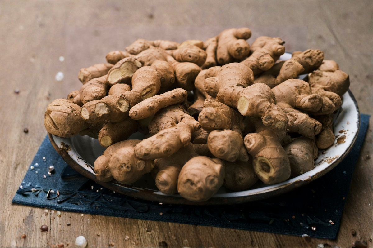 Edible Ginger Live Plant – Zingiber officinale Culinary Root, Tropical Herb, Non-GMO, Pesticide-Free, Container & Garden Plant
