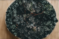 Heuchera Black Taffeta Live Plants, 1 Qt Pots, Dark Foliage Perennial, Coral Bells, Heuchera 'Black Taffeta' for Garden & Containers