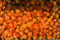 3 Jay's Peach Ghost Scorpion Pepper Plants – Capsicum chinense – 75+ Days Old – Hot Peppers for Garden and Container Growing