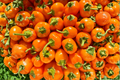 Aji Chinchi Amarillo Pepper Plants – 75+ Day Old Live Peruvian Hot Pepper Starter Plants for Garden, Container, Greenhouse