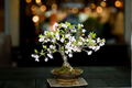 Cherry Blossom Tree Seeds | 10 Seeds | Pink Flowers | Prunus sp. Indoor & Outdoor Growing