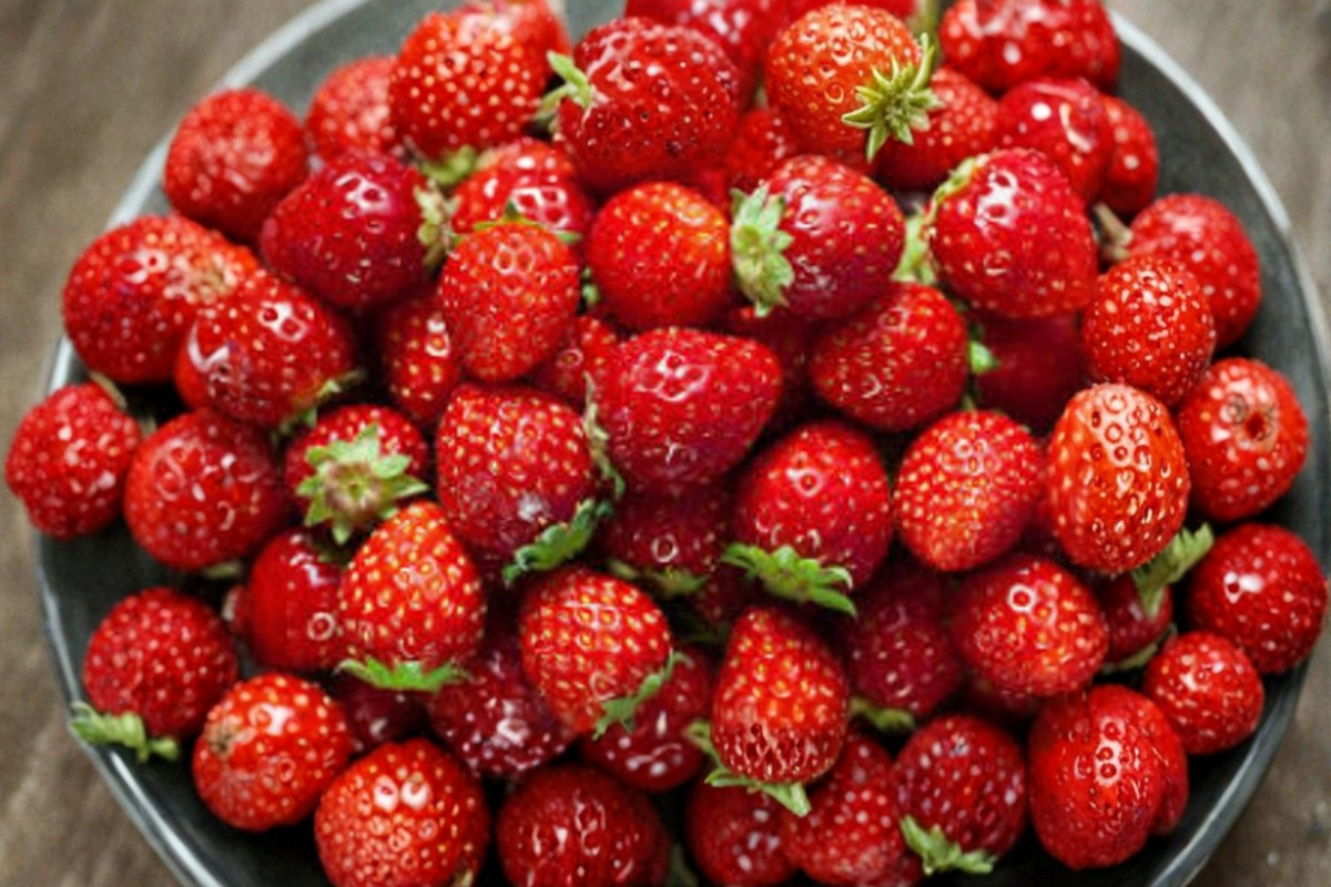 Dwarf Strawberry Seeds - Compact Edible Berry Plant for Containers & Outdoors - Fragaria spp.
