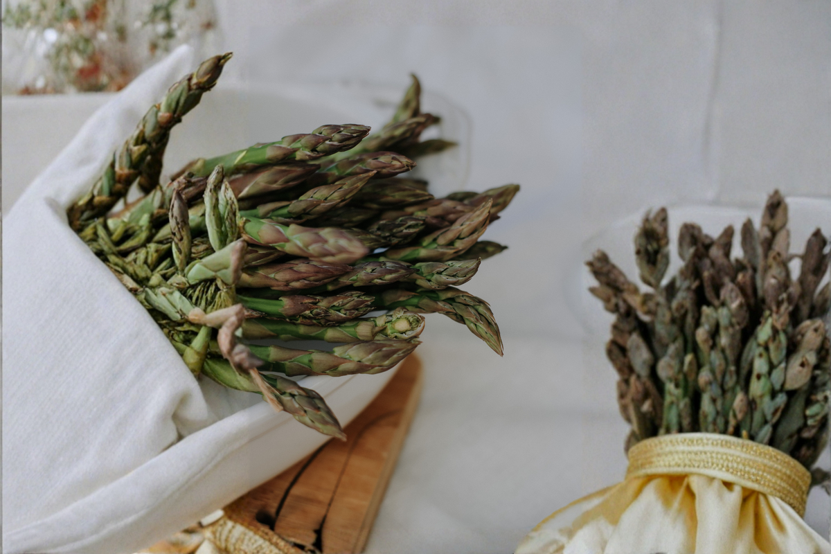Purple Passion Asparagus Bare Root Crowns – 2-Year-Old Live Asparagus Plants, Edible Perennial Vegetable, Purple Spear Variety