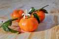 Grafted Owari Satsuma Mandarin Tree – Semi-Dwarf Citrus Fruit Tree for Patio, Container, Backyard Garden, Self-Pollinating