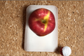 Jumbo Apple Tree Seeds - Open Pollinated Malus domestica Fruit Tree for Home Garden & Orchard Planting
