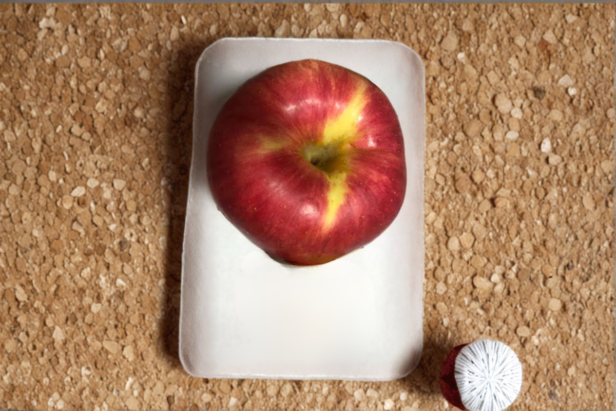 Jumbo Apple Tree Seeds - Open Pollinated Malus domestica Fruit Tree for Home Garden & Orchard Planting