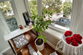 Thornless Key Lime Tree Grafted Live Plant Citrus Fruit Tree for Patio, Garden, Orchard - Citrusy Evergreen, Fruiting Age