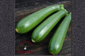 Dwarf Zucchini Seeds 20 Pack, Compact Summer Squash, Cucurbita pepo, Container Friendly, Edible Garden, USA Seller