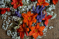 Alabama Jubilee Daylily Bare Root Plants – Yellow Orange Perennial Hemerocallis, Easy Care Garden Border, Set of 3