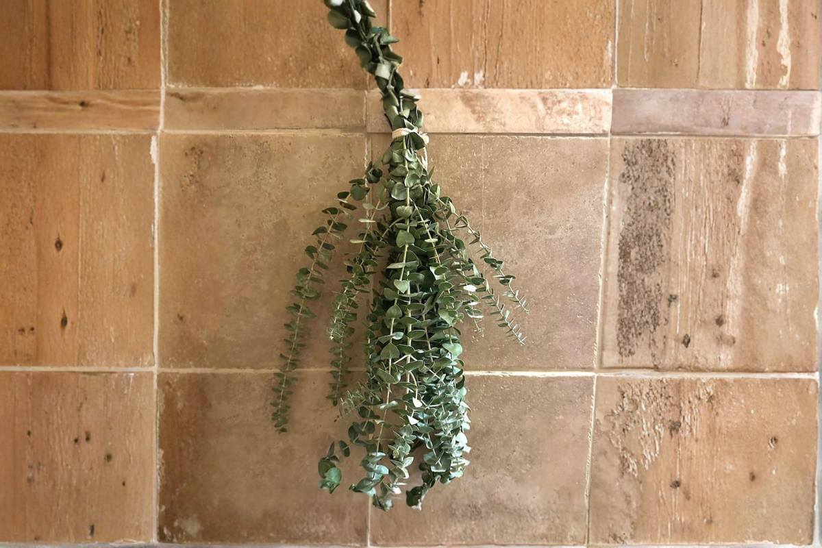 Fresh Eucalyptus Shower Bundle - Hanging Greenery for Bathroom Decor, Natural Fragrant Plant Bundle, Indoor Use
