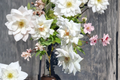 Iceberg Floribunda Rose Live Plant 3 Gal, White Blooming Bush, Garden Shrub, Outdoor Landscape Rose Rosa spp.