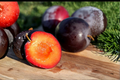 Santa Rosa Plum Tree Grafted Live Fruit Tree Self Pollinating 4ft | Prunus salicina 'Santa Rosa' for Home Garden