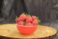 Albion Strawberry Bare Root Plants – 10 Day-Neutral Fragaria × ananassa Live Plants for Garden, Containers, Raised Beds