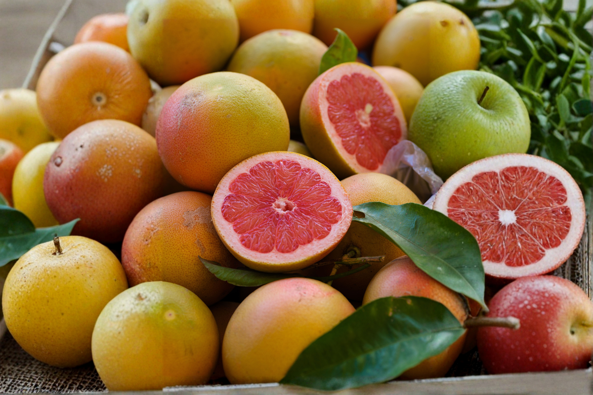 Live Ruby Red Grapefruit Tree - 3-4 Ft Tall Citrus Plant in Nursery Pot - Citruss paradisi