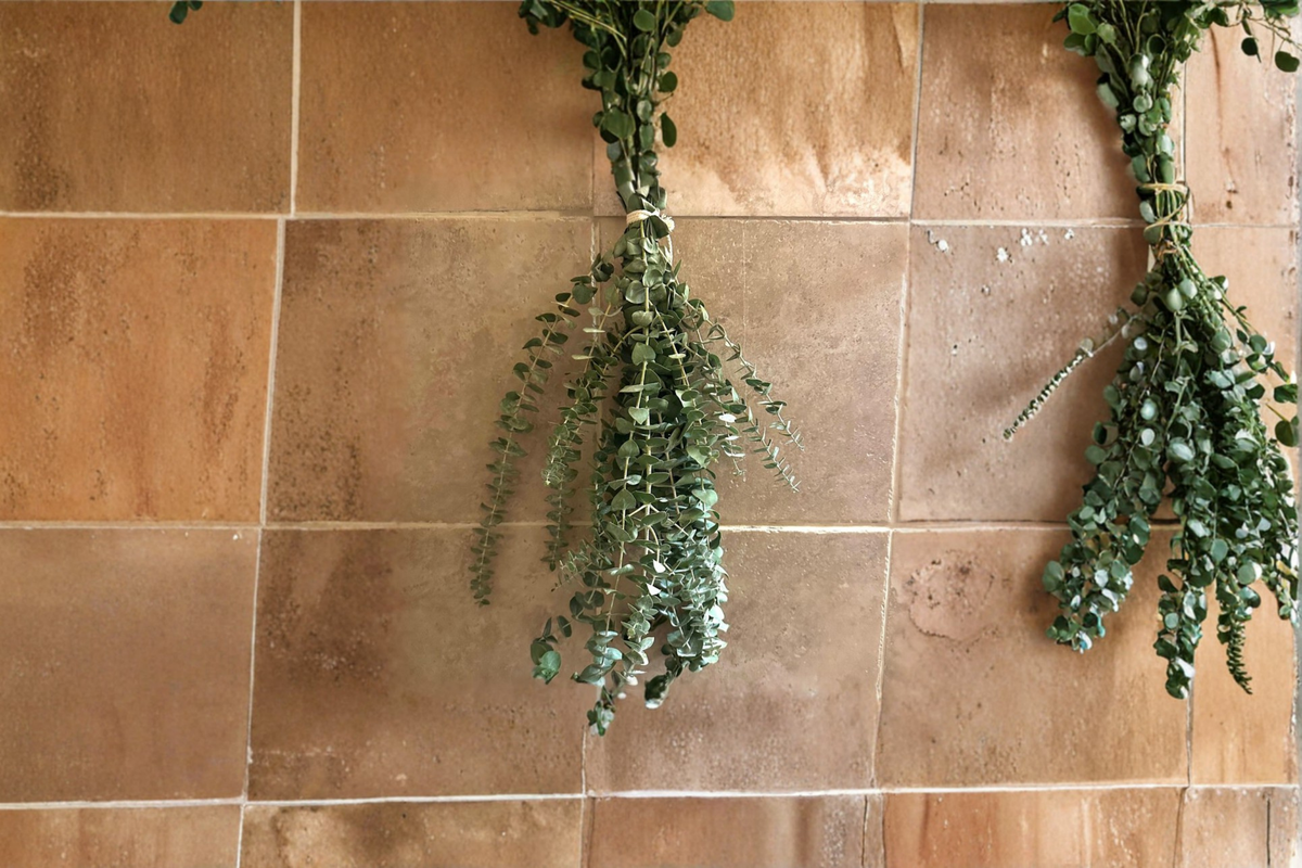 Fresh Eucalyptus Shower Bundle - Hanging Botanical Greenery for Bathroom Decor, Aromatic Foliage, Indoor Natural Décor