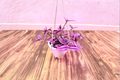 Tradescantia Pink Paradise Live Plant - Pink Variegated Houseplant in 4.5 Inch Pot, Tropical Trailing Foliage