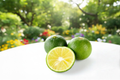 Grafted Sudachi Citrus Tree Live Plant 1 Gallon Pot Yuzu Hybrid Evergreen Citrus Tree Citrus sudachi