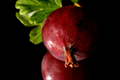 Hinnomaki Red Gooseberry Live Rooted Starter Plant – Ribes uva-crispa 'Hinnomaki Red' for Edible Gardens and Containers