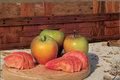 Mountain Rose Apple Tree Grafted Dwarf Fruit Tree 1 Gallon Pot Malus domestica 'Mountain Rose'