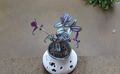 Tradescantia Zebrina Evanesce Cuttings - Live Trailing Houseplant Stems for Propagation, Indoor Foliage, Hanging Baskets