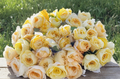 Moonlight Romantica Rose Cuttings - Unrooted 6-Inch Garden Ornamental Rose Rosa spp.