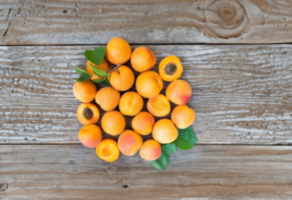 Royal Apricot Scion Wood Cuttings – 5 Live Grafting Propagation Prunus armeniaca Fruit Tree