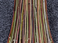 Willow Cuttings 50 Pack for Propagation & Basket Weaving Salix purpurea Deciduous Shrub
