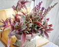 Purple Heart Plant Set of Live Cuttings - Tradescantia pallida & Cyanotis arachnoidea for Propagation, Ground Cover, Indoor & Outdoor