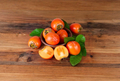 Kaki Persimmon Cuttings 5 Pack | Diospyros kaki Grafting Scion Wood for Home Orchard & Fruit Tree Propagation