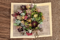Succulent Cuttings Set of 50 Assorted Varieties Including Rare Species | Live Unrooted Succulent Collection for Propagation & DIY Projects