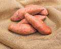 Sweet Potato Slips Covington Variety Live Rooted Plants Set of 24 | Ipomoea batatas Vegetable Plants