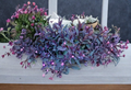Purple Heart Tradescantia Cuttings 5 Pack, 6-Inch Unrooted Trailing Indoor Outdoor Plant, Tradescantia pallida