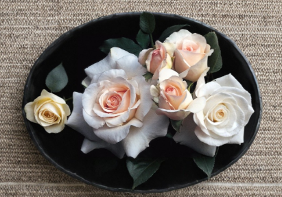 French Lace Rose Cuttings 3 Pack Unrooted Stems for Propagation Ornamental Garden Rose Rosa spp.