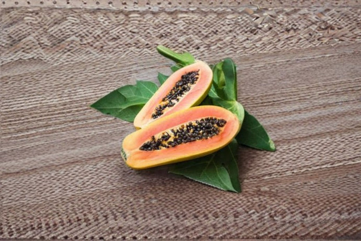 Red Lady Papaya Live Plant – High Yield Tropical Fruit Tree for Home Orchards