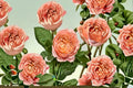 Julieta Rose Live Plant – Repeat Blooming Own Root Shrub Rose