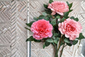 Laurent Cabrol Rose Live Plant – Fragrant Ornamental Garden Rose