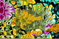 Elmleaf Goldenrod Seeds - Native Perennial Wildflower, Yellow, Pollinator Garden, Solidago ulmifolia, 100 Seeds