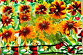 Rudbeckia Sahara 1 Plant – Rudbeckia hirta | Pollinator-Friendly Garden Flower
