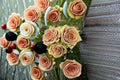 Teddy Bear Rose Live Plant – Warm Brown Cut Rose for Garden and Floral Arrangements