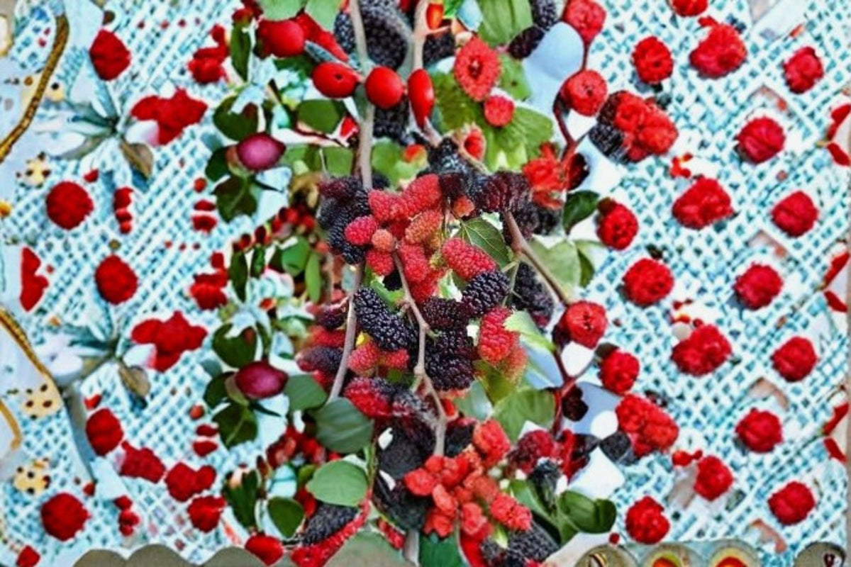 Red Mulberry Plants – Morus rubra – Edible Berry Tree – Native Deciduous Fruit Tree – Supports Wildlife & Pollinators
